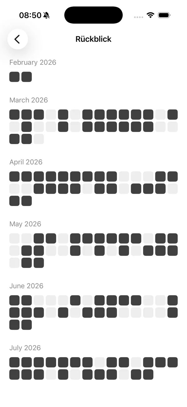 The monochrome Rückblick: months of small dark and light squares arranged in rows fourteen days wide.